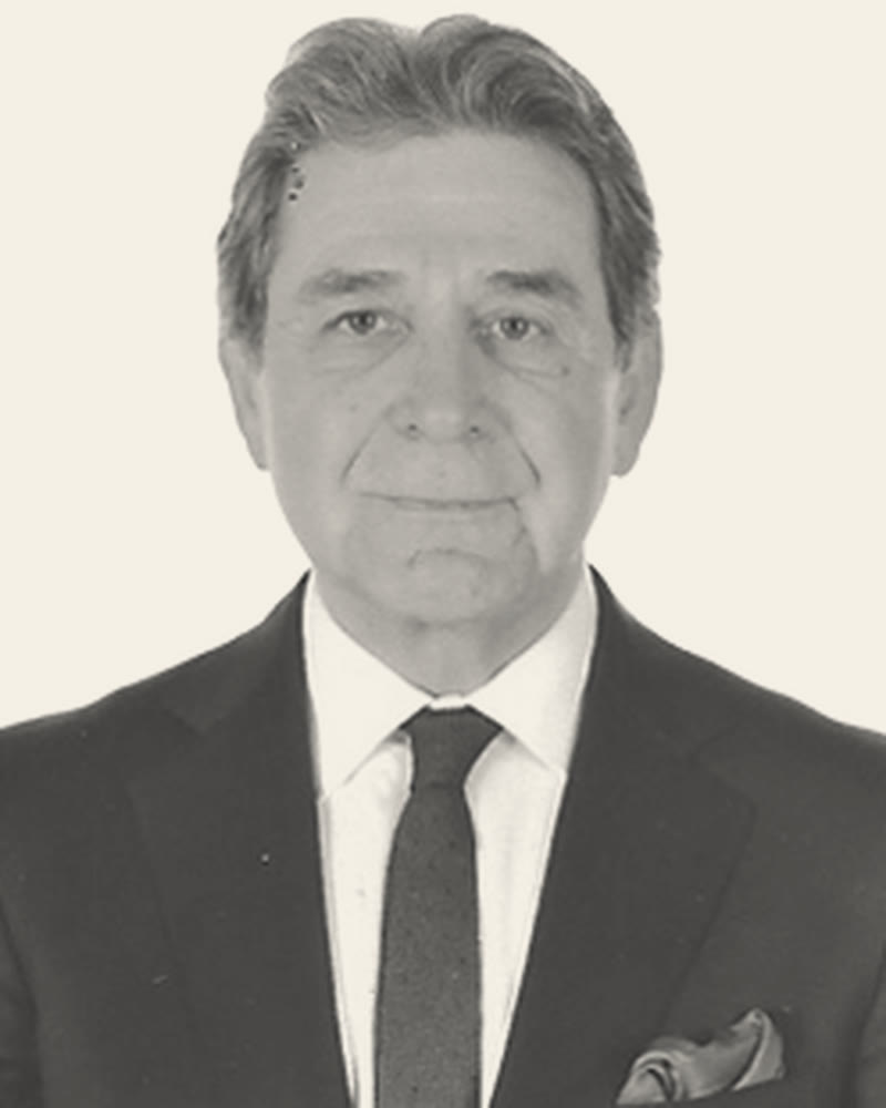 Mustafa Aviv, Board Member